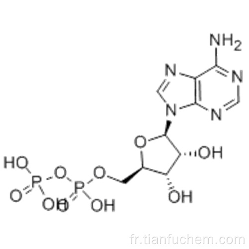 Adénosine5 &#39;- (trihydrogène diphosphate) CAS 58-64-0